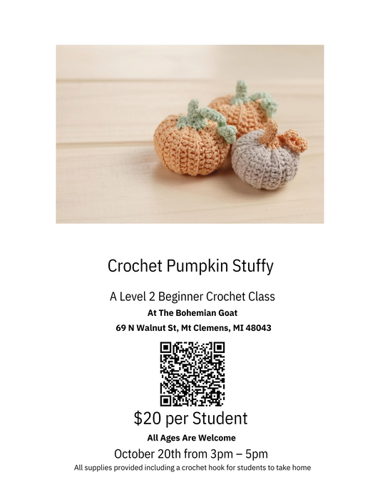 Crochet Pumpkin Stuffy - Level 2 Beginner Crochet Class