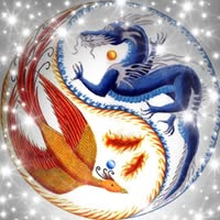 Lynda Forbes Chinese Face Reading, Tarot, and Astrology 8-22-26