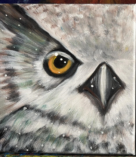 8 X 8 Owl Paintings